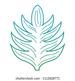 degraded line exotic leaf nature plant style