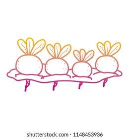 degraded line nature onions cultivated plantation product