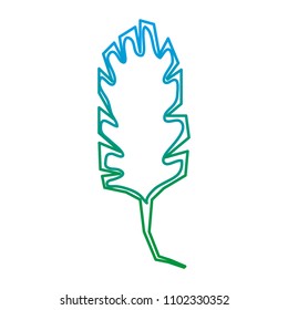 degraded line nature spring leaf tropical style
