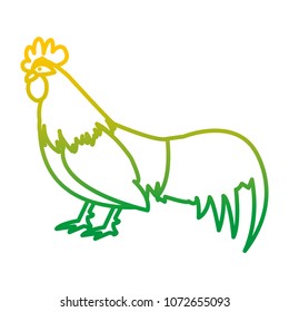 degraded line rooster farm animal with feathers and wings