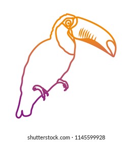 degraded line tropical pelican bird animal style