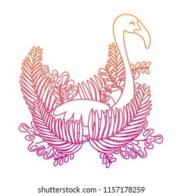 degraded line tropical plants with exotic flemish bird