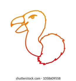 degraded line wild vulture head predator animal