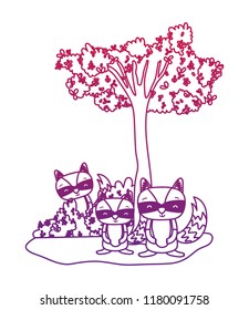 degraded outline adorable raccoon friends animal and bushes