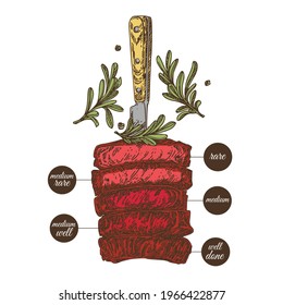 Degree of roasting of the steak. Five slices of meat , a knife, and rosemary. Engraving style. color. Vector illustration