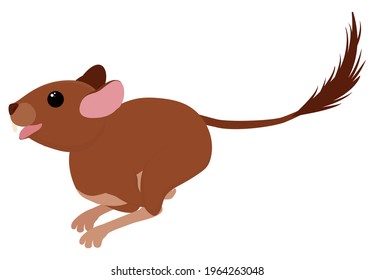 Degu squirrel rodent pet. Vector cartoon running animal Illustration isolated on white.