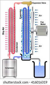 Dehumidifier