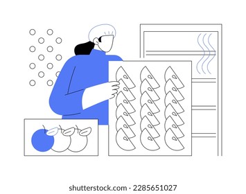 Dehydrated fruits production abstract concept vector illustration. Industrial worker deals with fruit drying using special equipment, food industry, dehydrated products abstract metaphor.