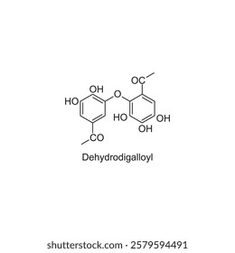 Dehydrodigalloyl skeletal structure.Tannin compound schematic illustration. Simple diagram, chemical structure.