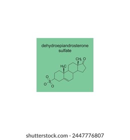 dehydroepiandrosterone sulfate skeletal structure diagram.Steroid hormone compound molecule scientific illustration on green background.