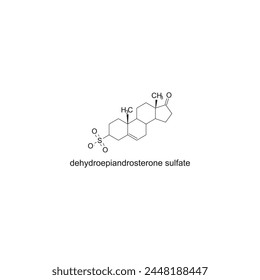 dehydroepiandrosterone sulfate skeletal structure diagram.Steroid hormone compound molecule scientific illustration on white background.