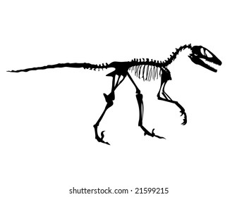 A Deinonychus Fossil Vector.