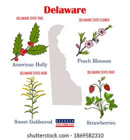 Delaware. Conjunto de símbolos de estado oficiales de Estados Unidos. Ilustración dibujada a mano por el vector