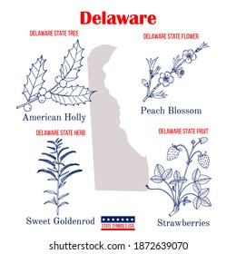 Delaware. Conjunto de símbolos de estado oficiales de Estados Unidos. Ilustración dibujada a mano por el vector