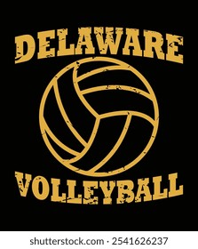 Delaware Volleyball Classic Vintage Distressed