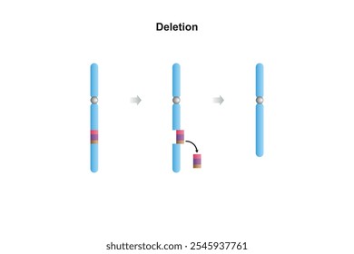 Diseño de Ciencia de mutación cromosómica de eliminación. Ilustración vectorial.