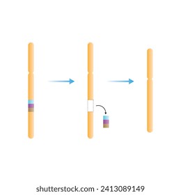 Diseño científico de la mutación cromosómica de eliminación. Ilustración vectorial.