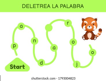 Deletrea la palabra - Spell the word. Maze for kids. Spelling word game template. Learn to read word red panda. Activity page for study Spanish for development of children. Vector stock illustration.