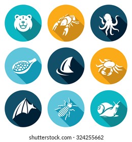 Delicacy food icons set. Vector Illustration.