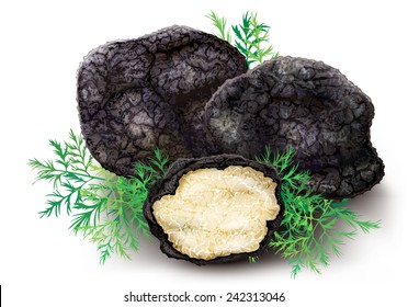 delicacy mushroom black truffle - rare and expensive vegetable on a white background