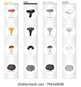 Delicacy, nature, ecology and other web icon in cartoon style. Forest, food, seasoning, icons in set collection.