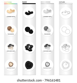 Delicacy, treats, product and other web icon in cartoon style.Nut, cashew,macadamia, icons in set collection.
