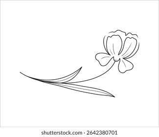 Delicate abstract wildflower line art for templates. Sketch art. Botanical vector illustration.