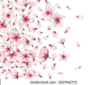 Delicate apricot or japanese cherry blossom petals isolated, flower elements falling vector illustration. Windy petals and pink flower vector elements flying confetti design on white.