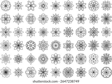 A Delicate Array of Floral Sketches a Variety of Intricate Flower Designs in Black and White Line Art Simplicity