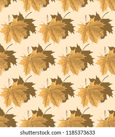 delicate autumn maple leaf in watercolor colors