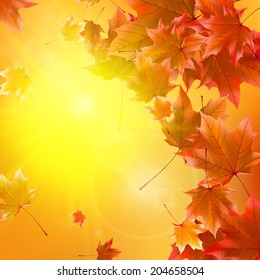 Delicate autumn sun with glare on gold sky. EPS10