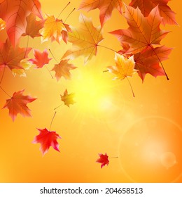 Delicate autumn sun with glare on gold sky. EPS10