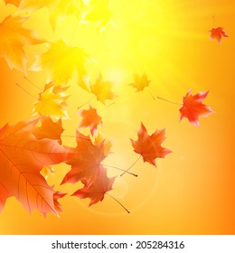 Delicate autumn sun with glare on gold sky. EPS10