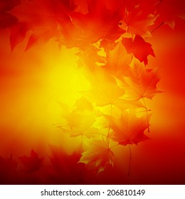 Delicate autumn sun with glare on gold sky. EPS10