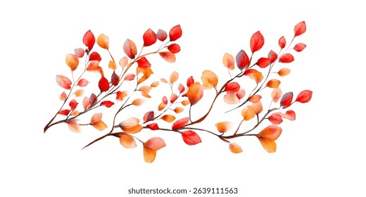 Delicate autumnal branches with vibrant leaves.