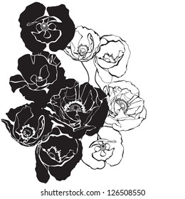 Delicate background with decorative poppies flowers. Vector illustration with black and white silhouettes