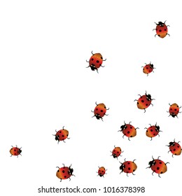 Delicate background with ladybugs. Trendy template for a postcard, stamp, banner or poster. Cute Ladybugs on a white background. Vector