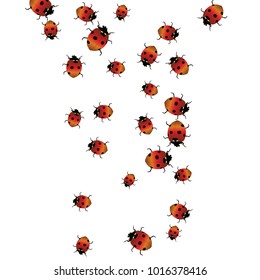 Delicate background with ladybugs. Trendy template for a postcard, stamp, banner or poster. Cute Ladybugs on a white background. Vector