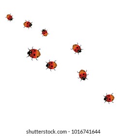 Delicate background with ladybugs. Trendy template for a postcard, stamp, banner or poster. Cute Ladybugs on a white background. Vector