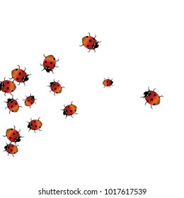 Delicate background with ladybugs. Trendy template for a postcard, stamp, banner or poster. Cute Ladybugs on a white background. Vector