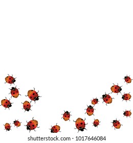 Delicate background with ladybugs. Trendy template for a postcard, stamp, banner or poster. Cute Ladybugs on a white background. Vector