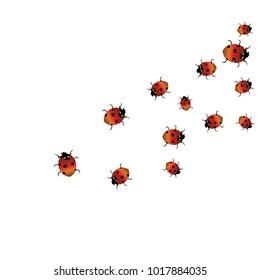 Delicate background with ladybugs. Trendy template for a postcard, stamp, banner or poster. Cute Ladybugs on a white background. Vector