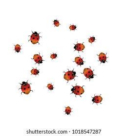 Delicate background with ladybugs. Trendy template for a postcard, stamp, banner or poster. Cute Ladybugs on a white background. Vector