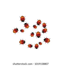 Delicate background with ladybugs. Trendy template for a postcard, stamp, banner or poster. Cute Ladybugs on a white background. Vector