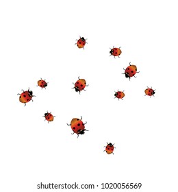 Delicate background with ladybugs. Trendy template for a postcard, stamp, banner or poster. Cute Ladybugs on a white background. Vector