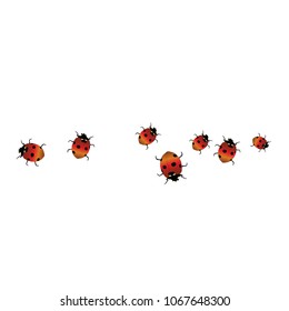 Delicate background with ladybugs. Trendy template for a postcard, stamp, banner or poster. Cute Ladybugs on a white background. Vector
