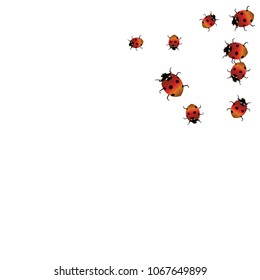 Delicate background with ladybugs. Trendy template for a postcard, stamp, banner or poster. Cute Ladybugs on a white background. Vector
