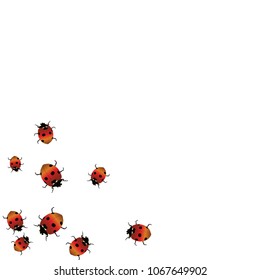 Delicate background with ladybugs. Trendy template for a postcard, stamp, banner or poster. Cute Ladybugs on a white background. Vector
