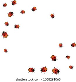 Delicate background with ladybugs. Trendy template for a postcard, stamp, banner or poster. Cute Ladybugs on a white background. Vector
