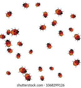 Delicate background with ladybugs. Trendy template for a postcard, stamp, banner or poster. Cute Ladybugs on a white background. Vector
